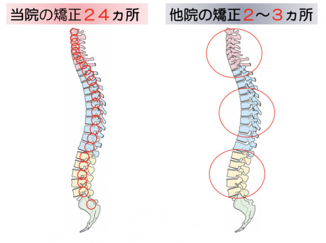 背骨
